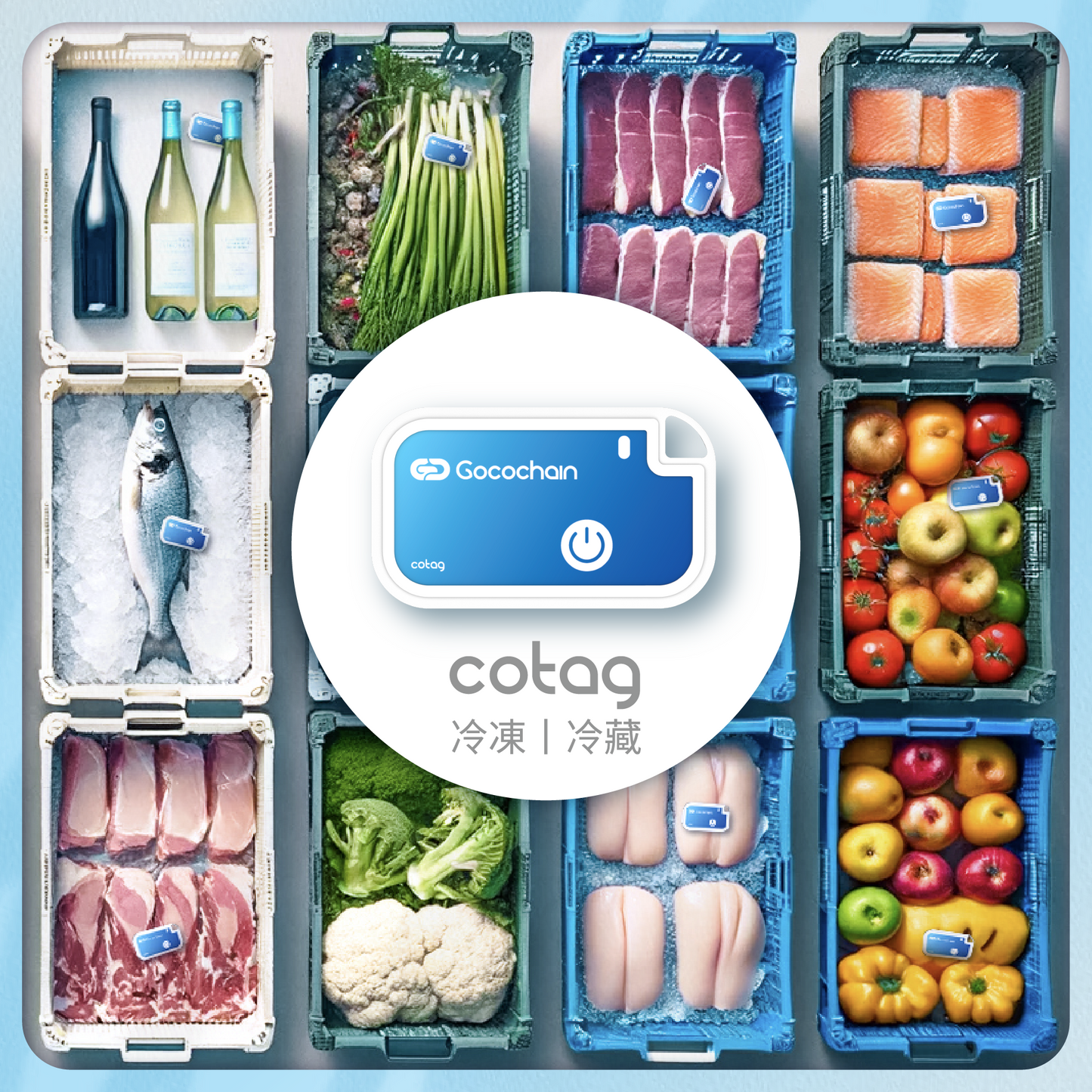 【CoTag 拋棄式冷鏈溫度記錄標籤】-30°C 至 70°C